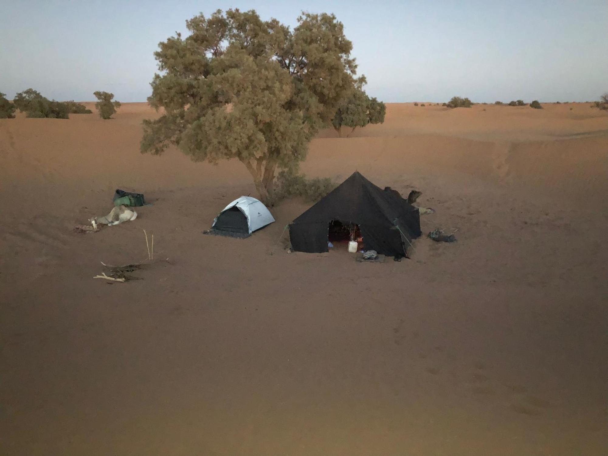 Nomads Life Style Hotel M'Hamid Luaran gambar
