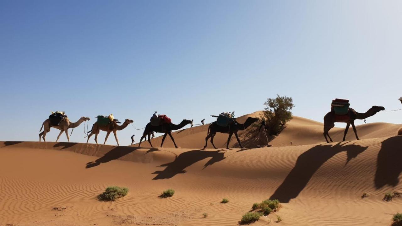 Nomads Life Style Hotel M'Hamid Luaran gambar